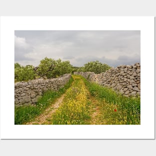 Landscape Near Loziscz, Brac Island, Croatia Posters and Art